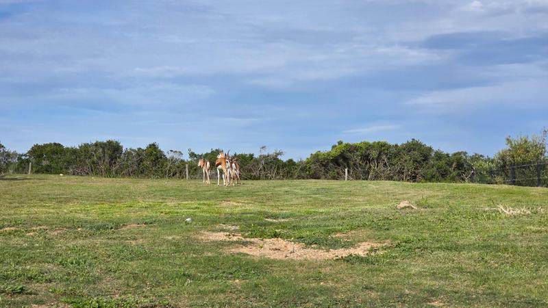 3 Bedroom Property for Sale in Hartenbos Western Cape